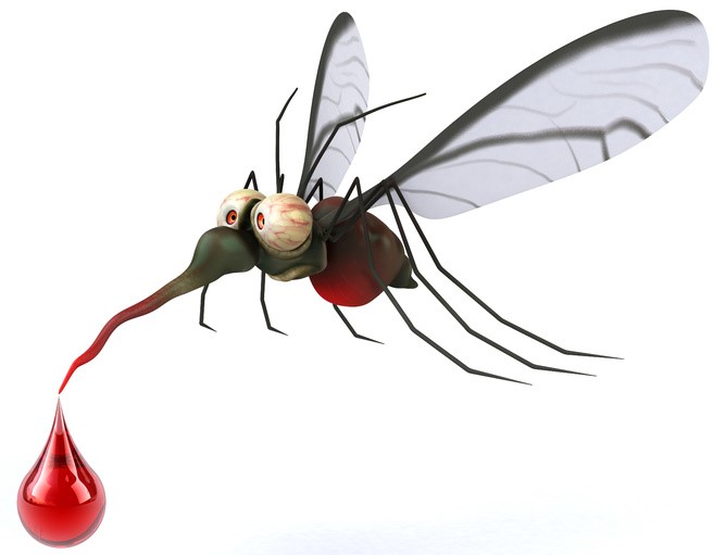 комари 2
