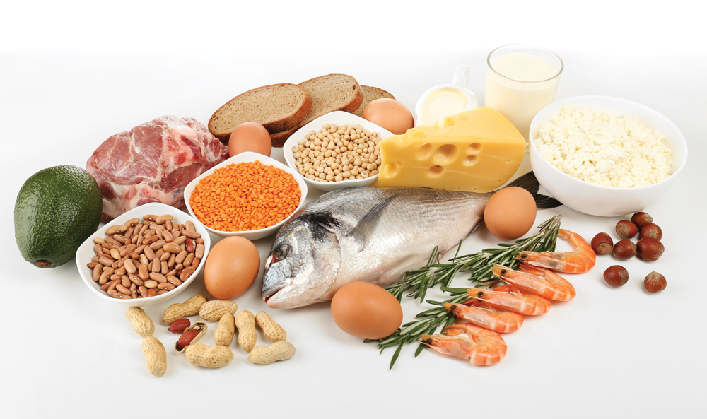 functional-foods-protein